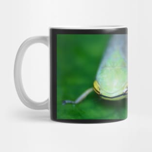 Unique and organic photo of a Cicadellidae Leafhopper Mug